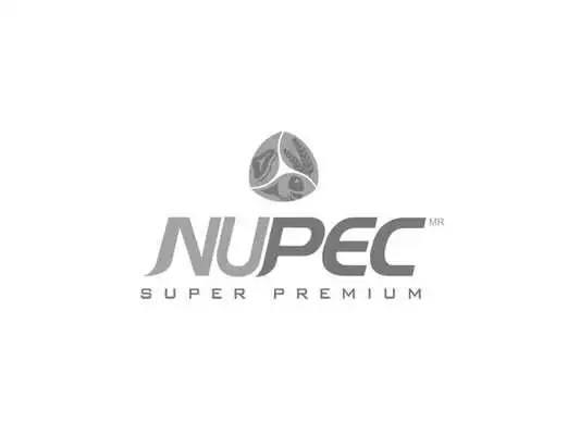 Play NUPEC Play NUPEC