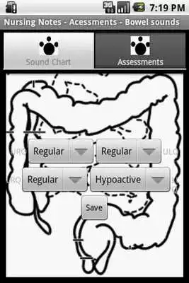 Play NurseWorks Demo Lung Sounds