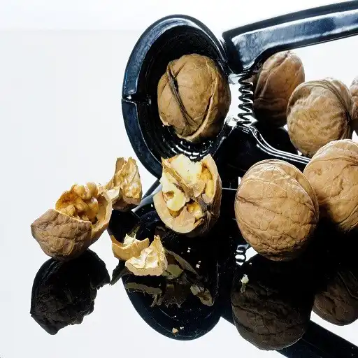 Play Nutcracker Sound APK