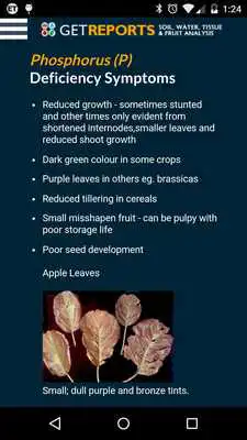 Play Nutrient Flashcards