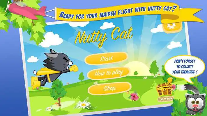 Play Nutty Cat