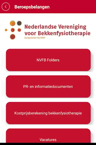 Play NVFB Bekkenfysiotherapie as an online game NVFB Bekkenfysiotherapie with UptoPlay