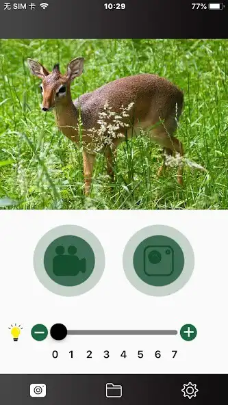 Play NV Plus and enjoy NV Plus with UptoPlay Play NV Plus and enjoy NV Plus with UptoPlay