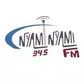 Free play online Nyaminyami FM APK