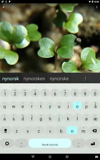 Play Nynorsk Keyboard plugin  and enjoy Nynorsk Keyboard plugin with UptoPlay