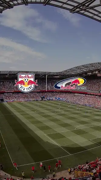 Play NY Red Bulls
