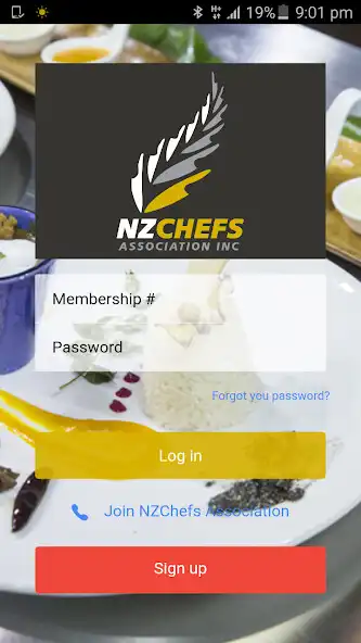Play NZCHEFS as an online game NZCHEFS with UptoPlay