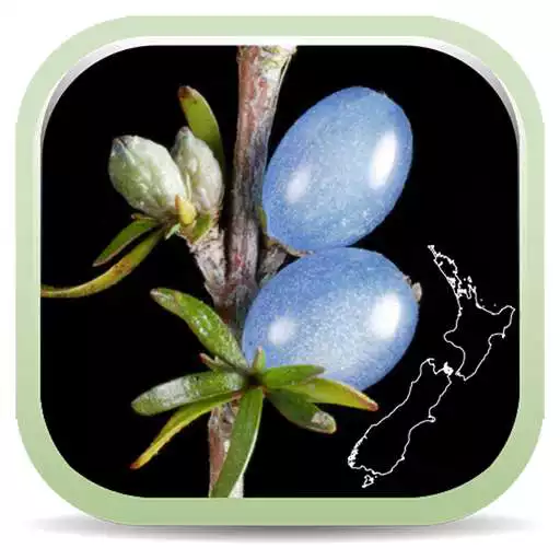 Free play online NZ Coprosma Key APK