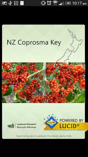 Play NZ Coprosma Key
