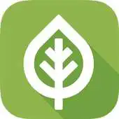 Free play online NZ Trees APK