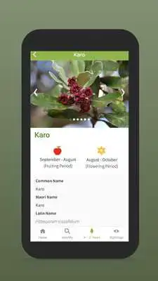 Play NZ Trees as an online game NZ Trees with UptoPlay