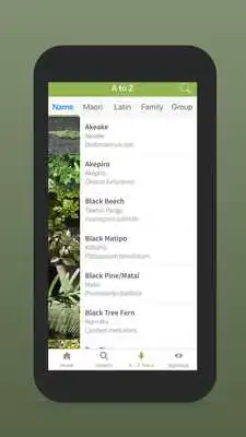 Play NZ Trees Play NZ Trees