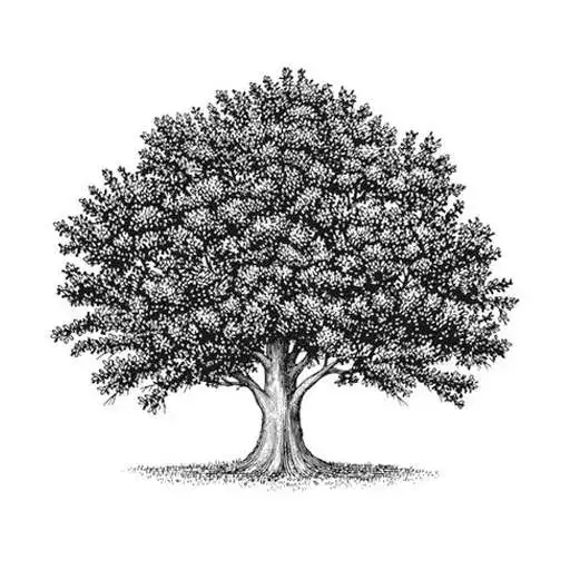 Free play online OAK Fitness APK