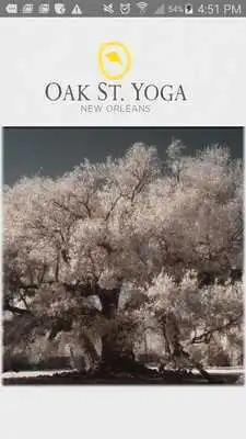 Play Oak St Yoga