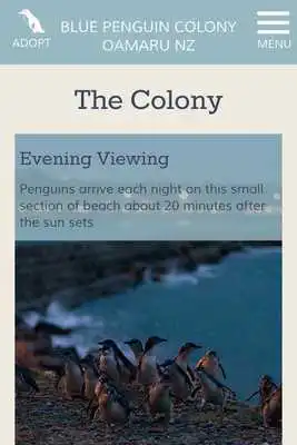 Play Oamaru Blue Penguin Colony