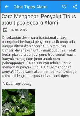 Play Obat Tipes Alami