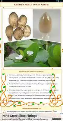 Play Obat Tradisional Rempah Play Obat Tradisional Rempah