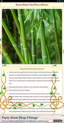 Play Obat Tradisional Rempah Play Obat Tradisional Rempah