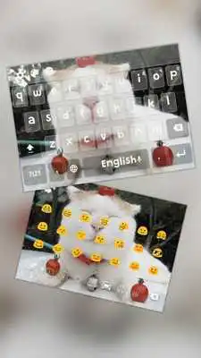 Play obese bobcat theme
