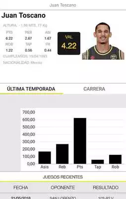 Play Obras Basket Play Obras Basket