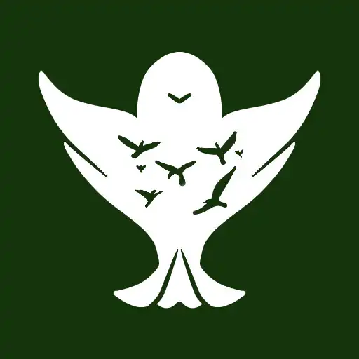 Play Observer - Bird Free Flying APK