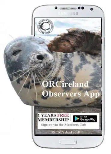 Play Observers App and enjoy Observers App with UptoPlay Play Observers App and enjoy Observers App with UptoPlay