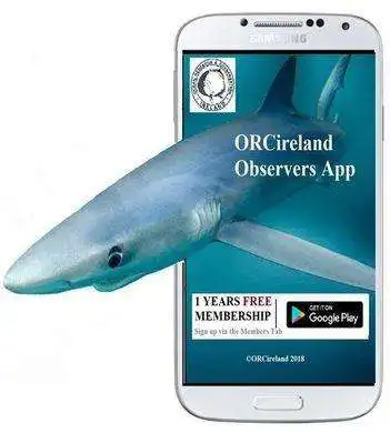 Play Observers App as an online game online Observers App with UptoPlay com.app.nazhgpxrfsvacmiqedytlfjcrpdwtmgbwvnoslobzu Play Observers App as an online game Observers App with UptoPlay