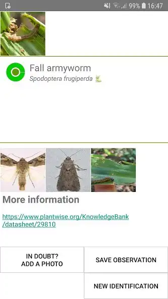 Play ObsIdentify - Nondo Africa  and enjoy ObsIdentify - Nondo Africa with UptoPlay