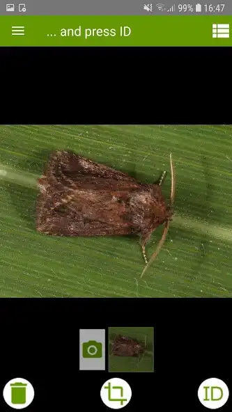 Play ObsIdentify - Nondo Africa as an online game ObsIdentify - Nondo Africa with UptoPlay