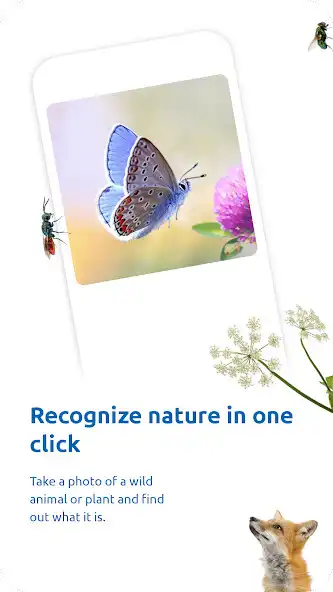 Play ObsIdentify  and enjoy ObsIdentify with UptoPlay