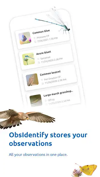 Play ObsIdentify as an online game ObsIdentify with UptoPlay