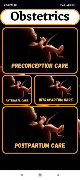 Play Obstetrics  and enjoy Obstetrics with UptoPlay