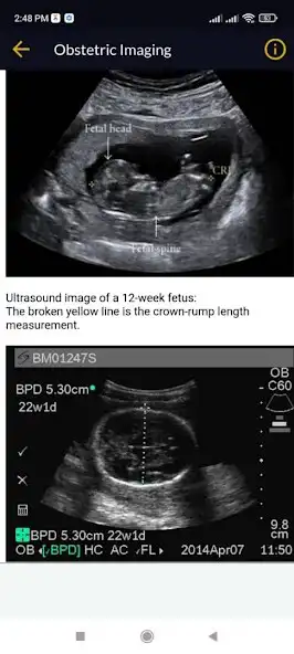 Play Obstetrics as an online game Obstetrics with UptoPlay