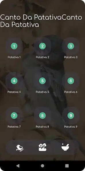Play O Canto Da Patativa and enjoy O Canto Da Patativa with UptoPlay Play O Canto Da Patativa and enjoy O Canto Da Patativa with UptoPlay