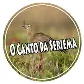 Free play online O Canto da Seriema APK