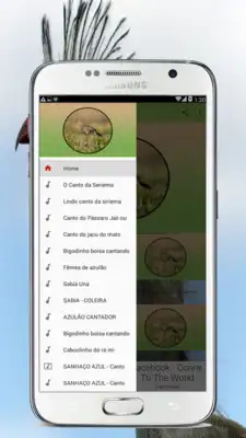 Play O Canto da Seriema
