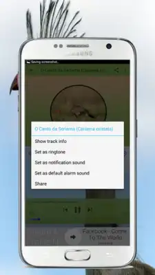 Play O Canto da Seriema