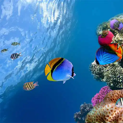 Run free android online Ocean Aquarium 3D Free LWP APK