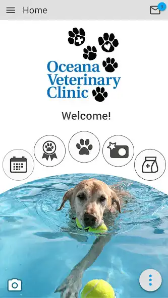 Play Oceana Veterinary Clinic  and enjoy Oceana Veterinary Clinic with UptoPlay