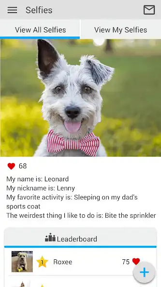 Play Oceana Veterinary Clinic as an online game Oceana Veterinary Clinic with UptoPlay