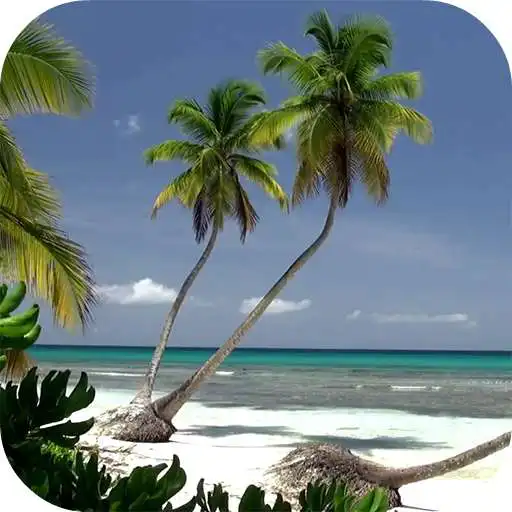 Play Ocean Beach Live Wallpaper APK