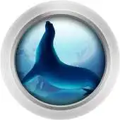 Free play online Ocean Browser APK