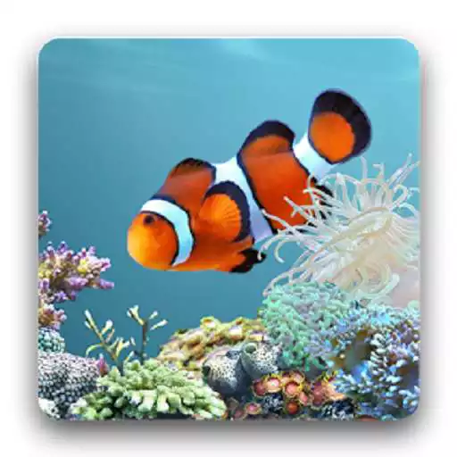 Free play online Ocean Fish HD Wallpapers  APK