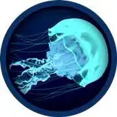 Free play online Ocean Jellyfish Live Wallpaper APK