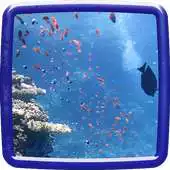 Free play online Ocean Keyboard APK Free play online Ocean Keyboard APK