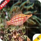 Free play online Ocean Life - Tiles Puzzle APK Free play online Ocean Life - Tiles Puzzle APK