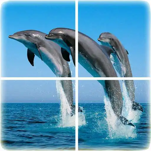 Run free android online Ocean Puzzle APK Run free android online Ocean Puzzle APK