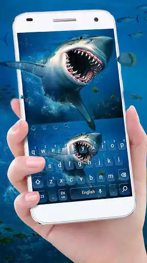 Play Ocean Shark Keyboard