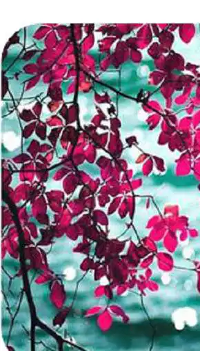 Free play online Ocean Stunning HD Wallpapers  APK