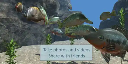 Play Ocean View AR - Underwater Exploration as an online game Ocean View AR - Underwater Exploration with UptoPlay